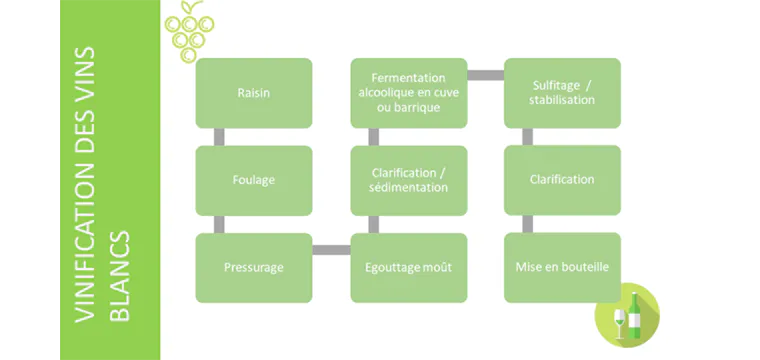 Processus de vinification du vin blanc