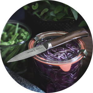 couteau d'office pour cuisiner