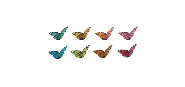 Papillons en Azyme Multicolores Modecor (x240)