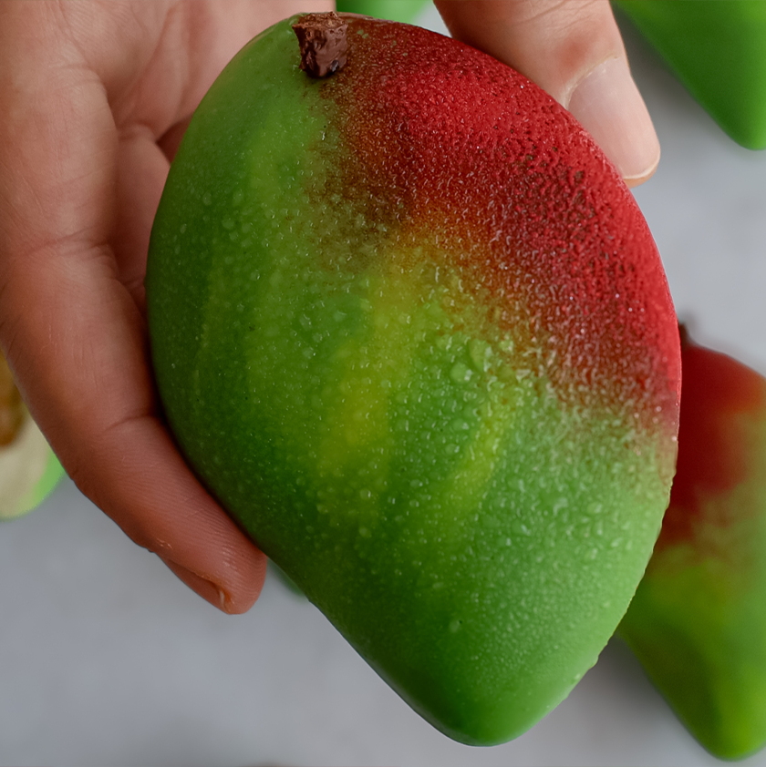 Entremets trompe l'œil mangue
