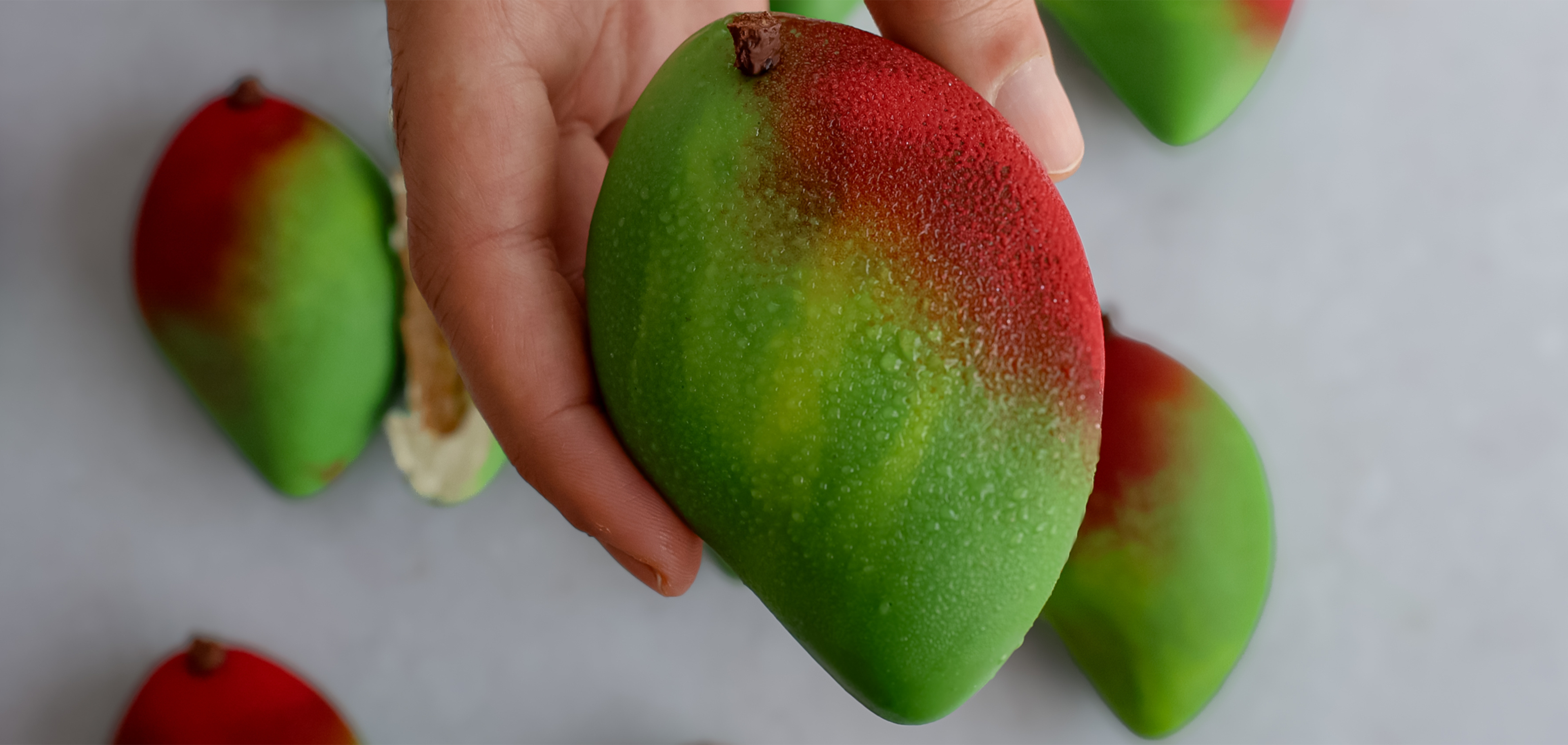 Entremets trompe l'œil mangue