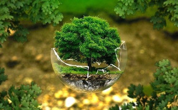 Curation Corp Launches ESG Risk-Monitoring Platform