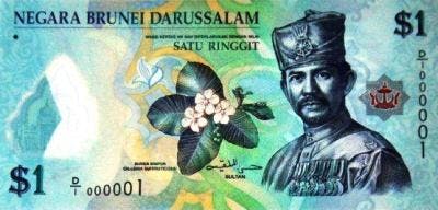 Brunei dollar sedel 