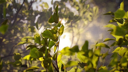 58 PORTER ST 3D animation