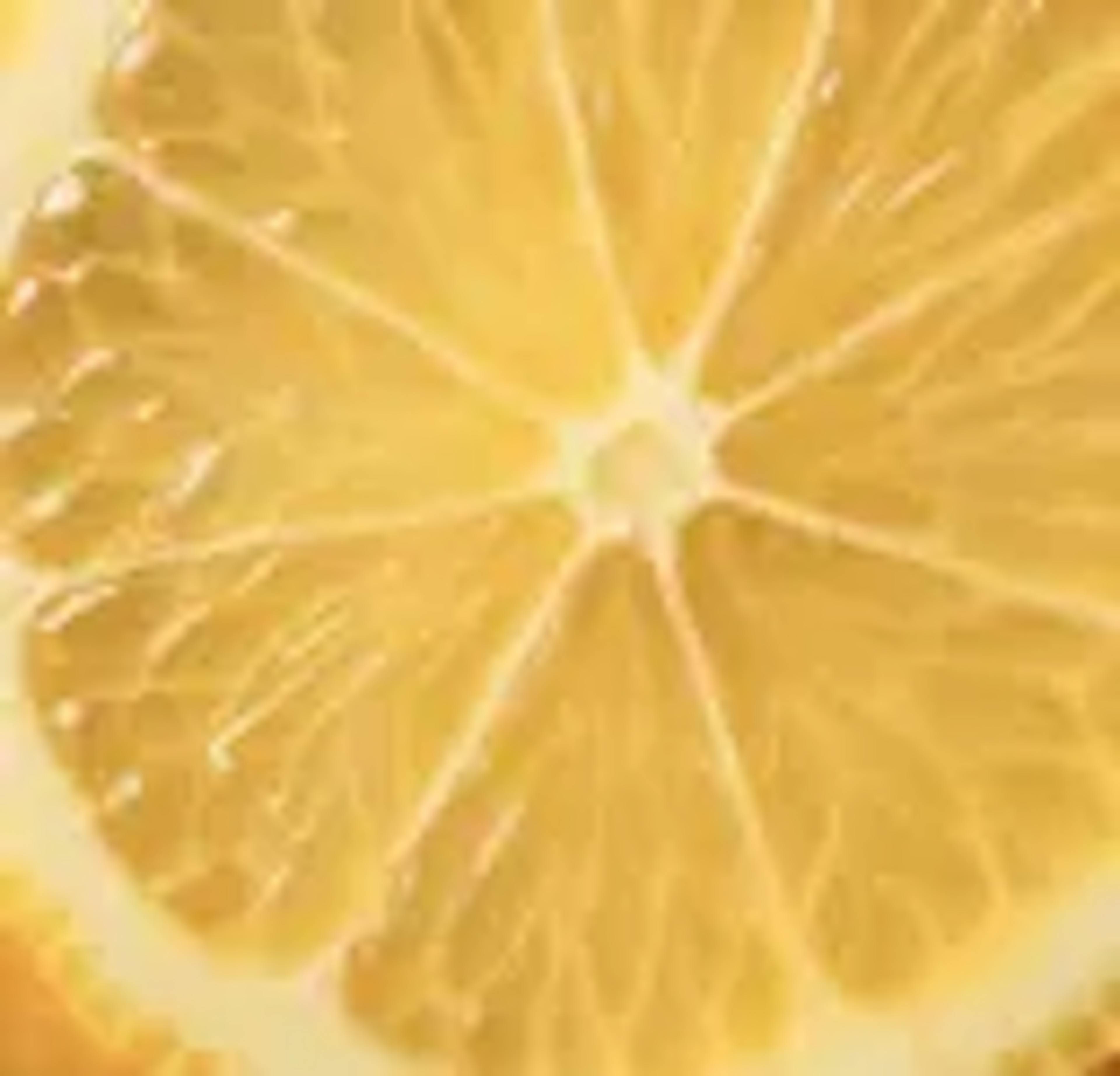 onely-ingredient-lemon
