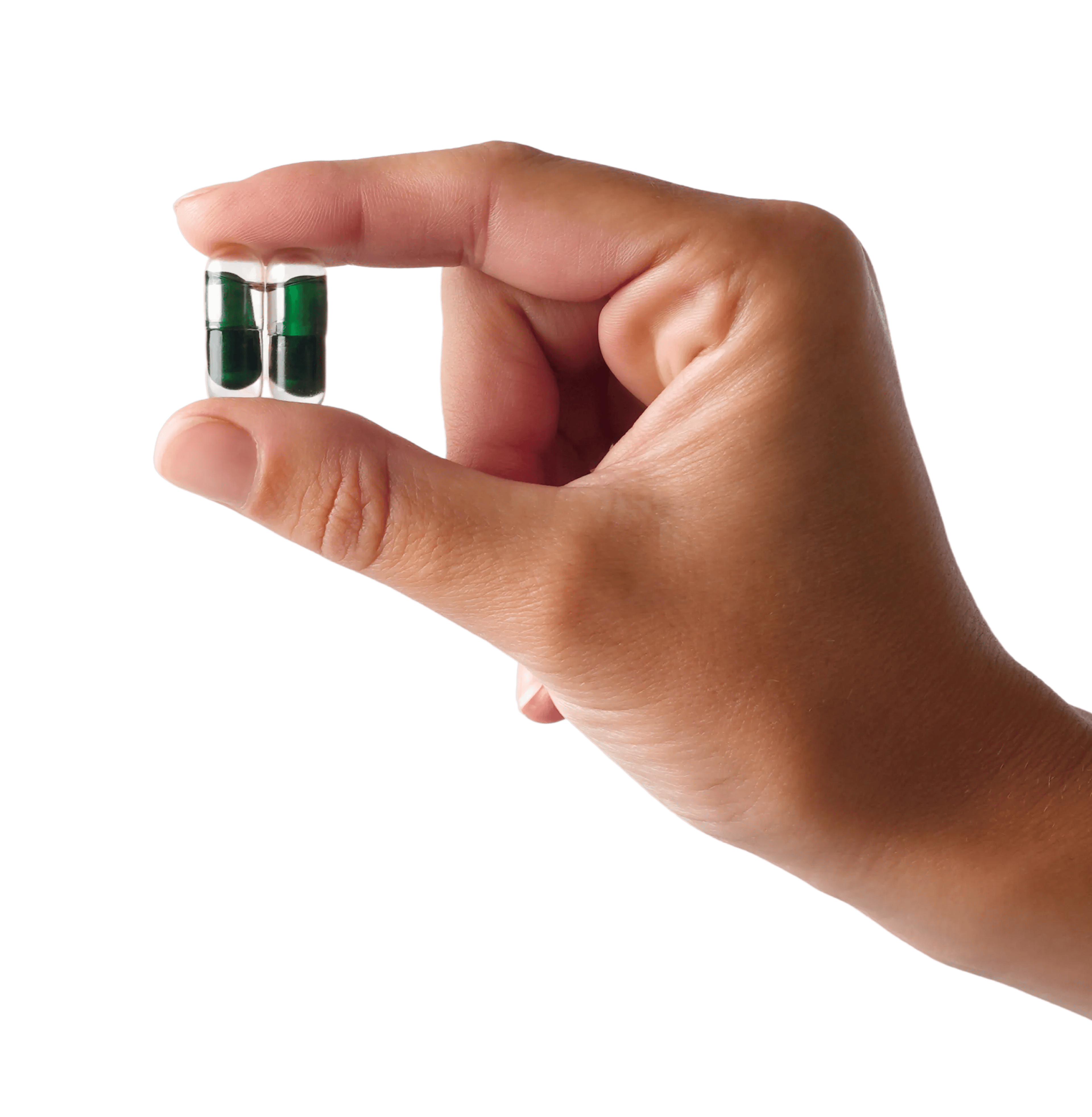 hand_holding_fs-3b_2