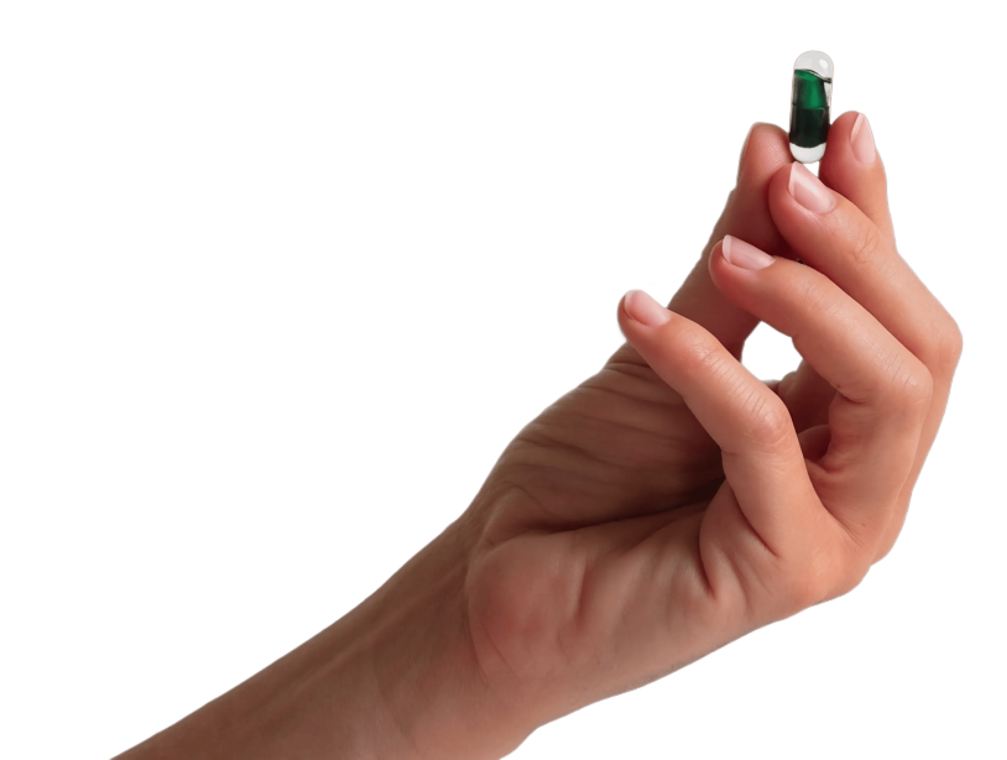 hand_holding_fs-3b_3