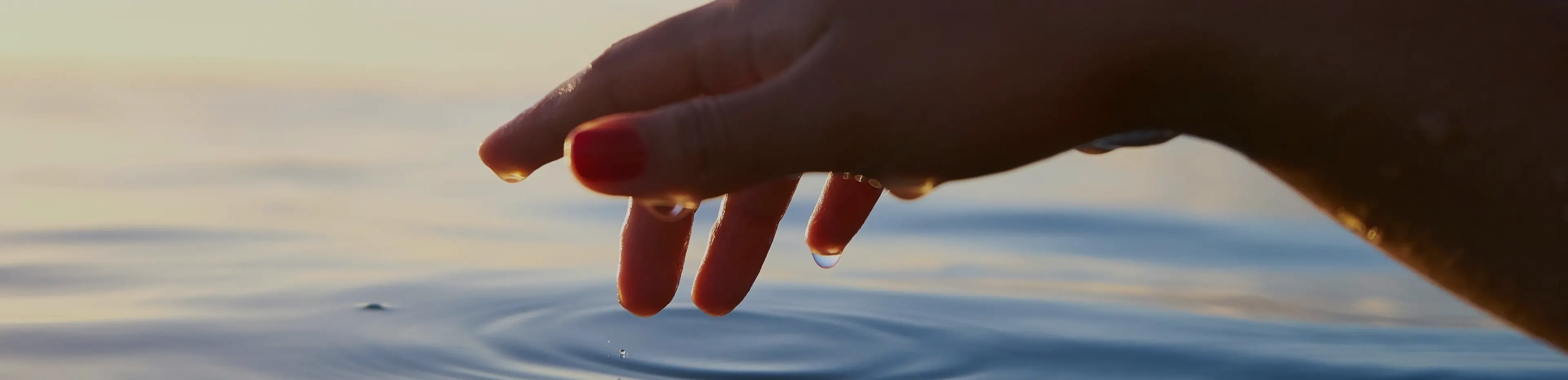 banner_2_a_propos_mission