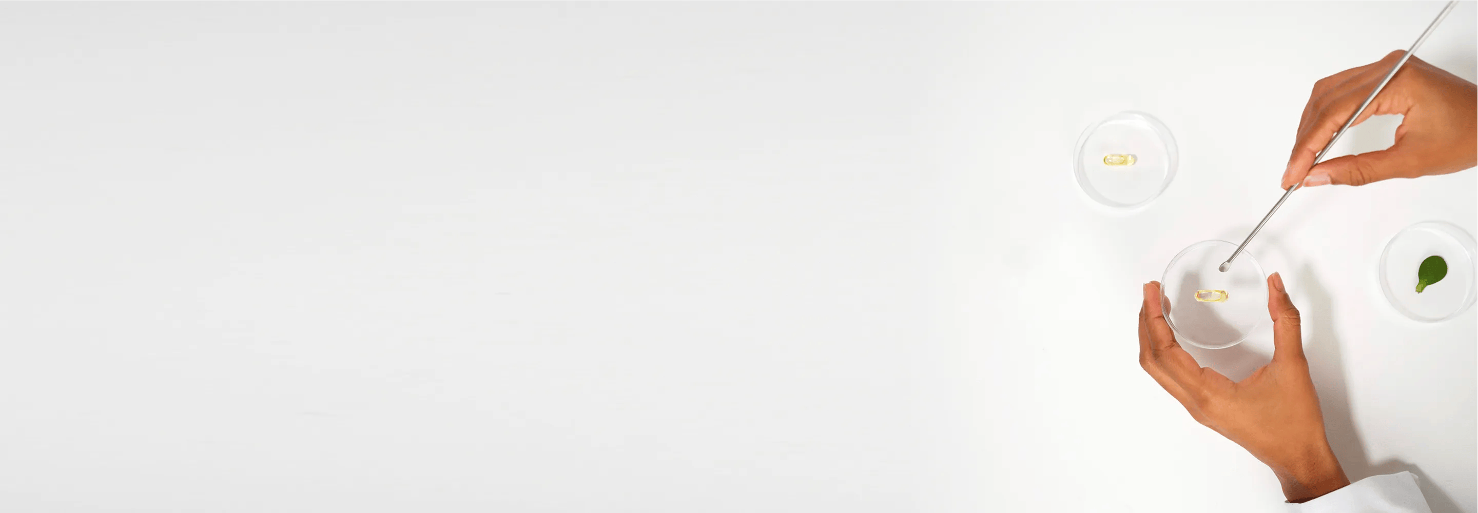 banner_a_propos_science_desktop