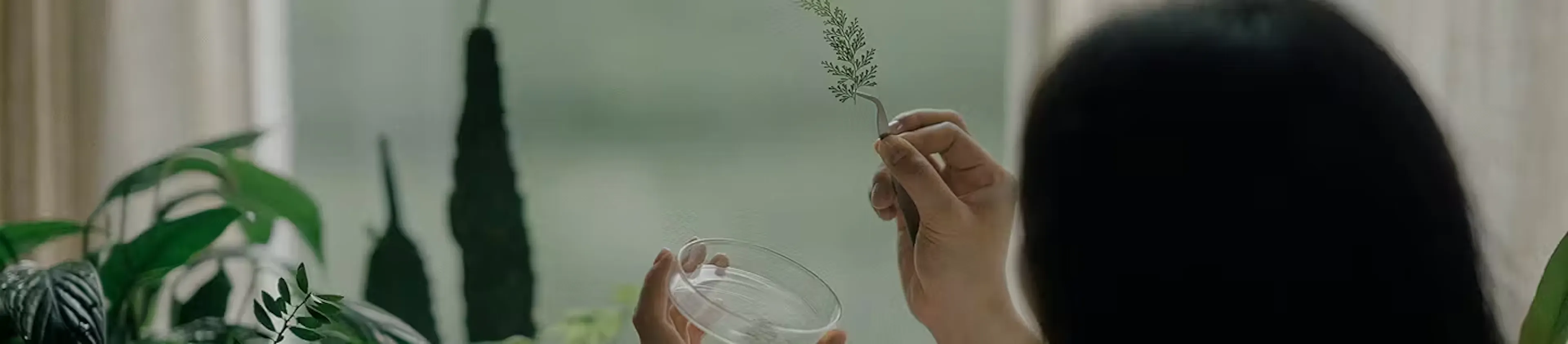 background_a_propos_science_desktop