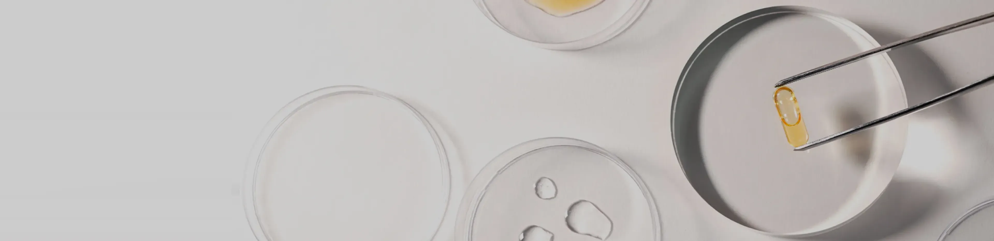 banner_2_a_propos_science_desktop