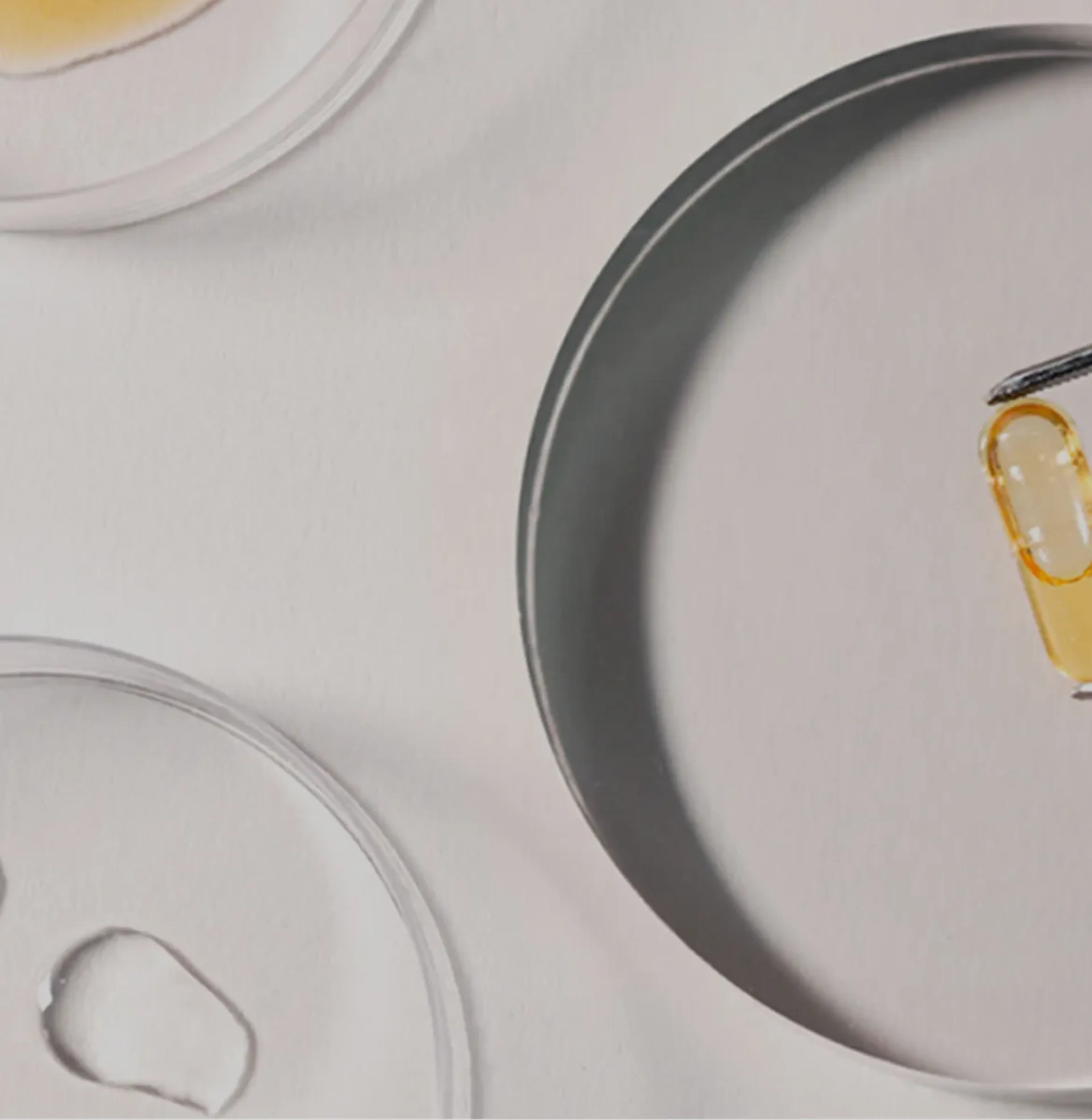 banner_2_a_propos_science_mobile