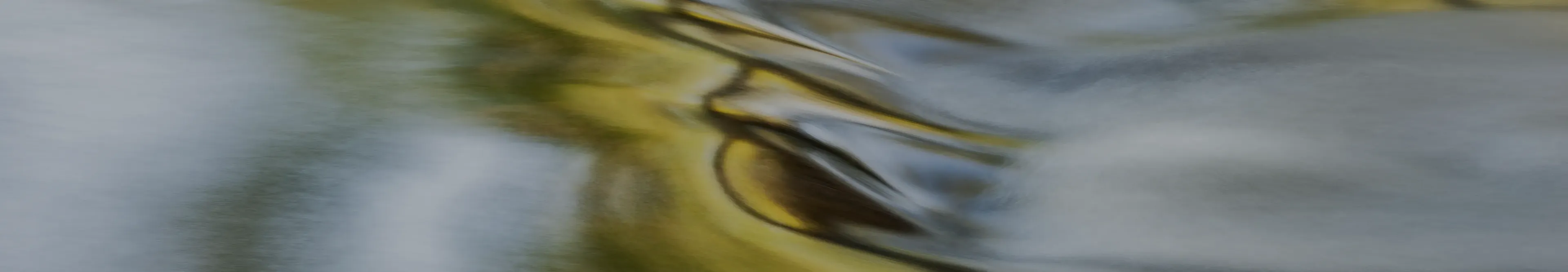 banner2_mission_desktop_v2