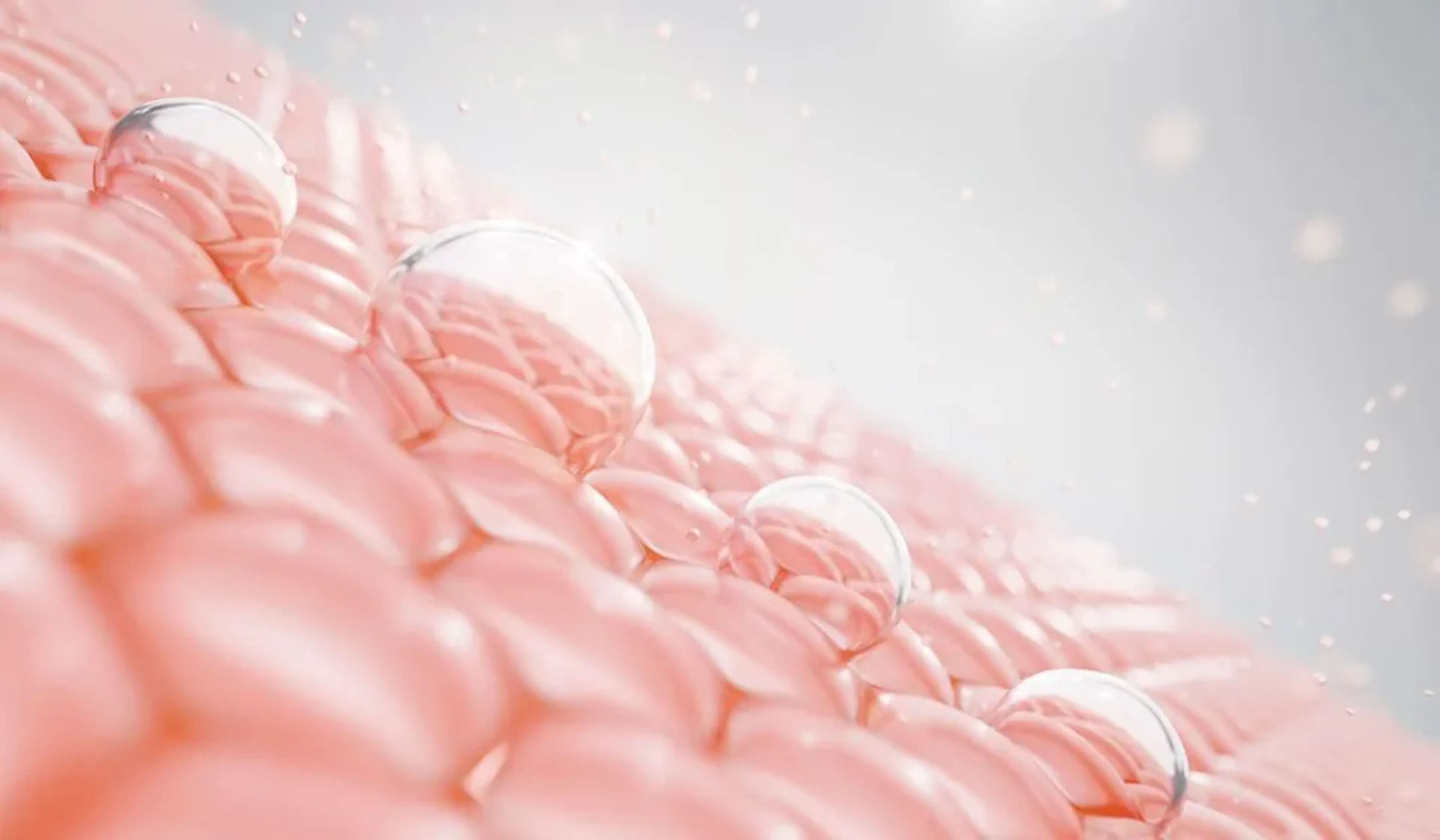 blog_Les secrets d'une peau éclatante : Comment nourrir votre peau de l'intérieur avec les bons nutriments