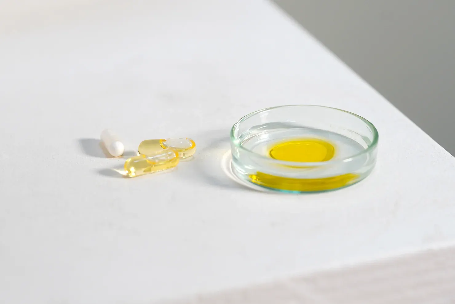 blog_L'Onagre-Bourrache : et si nous en parlions ?