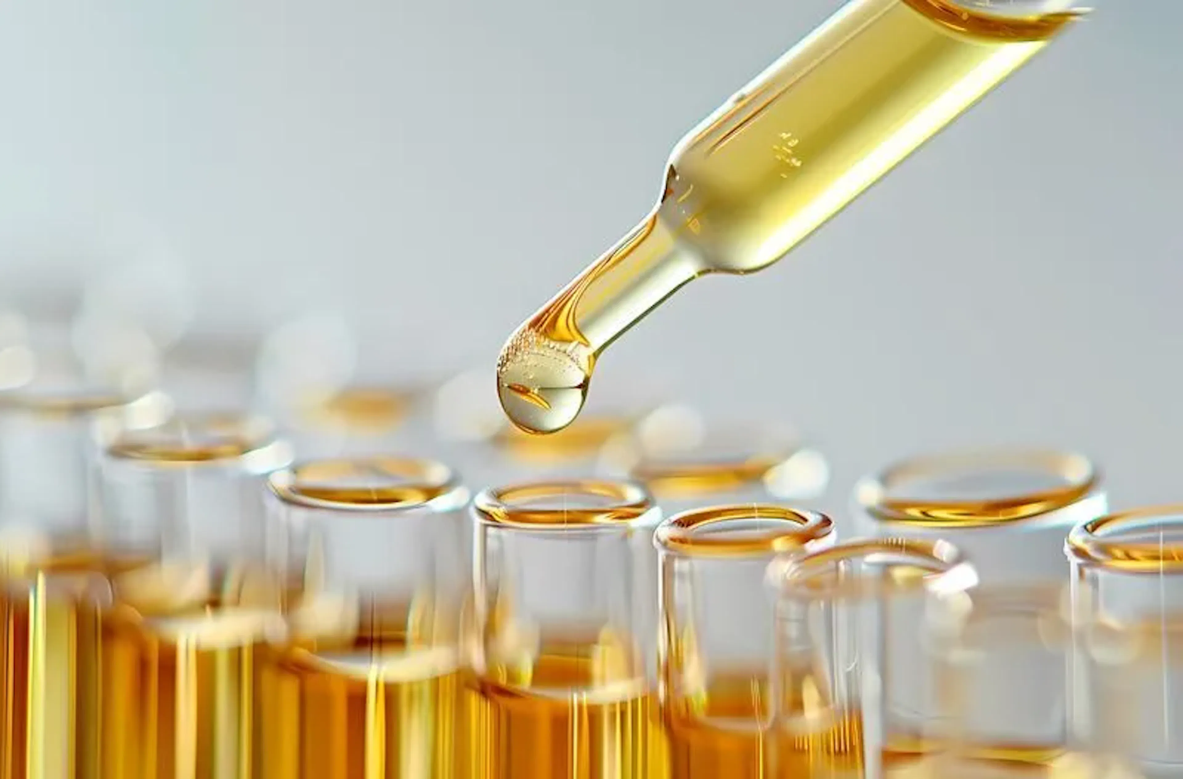 blog_Quels sont les bienfaits de l'huile de bourrache pour votre peau ?