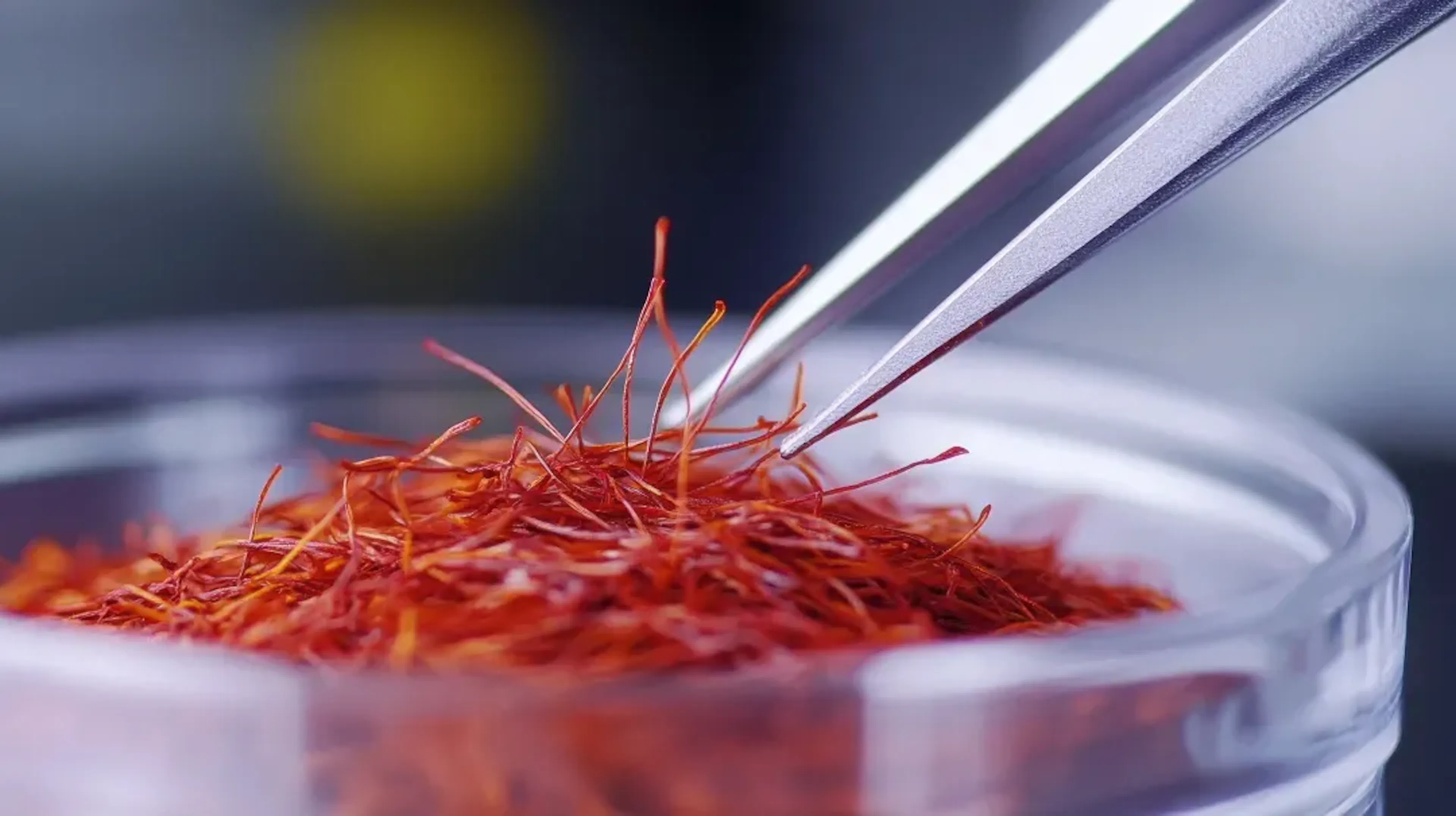 blog_Safran et bien-être : ses bienfaits pour équilibrer l'humeur et le stress