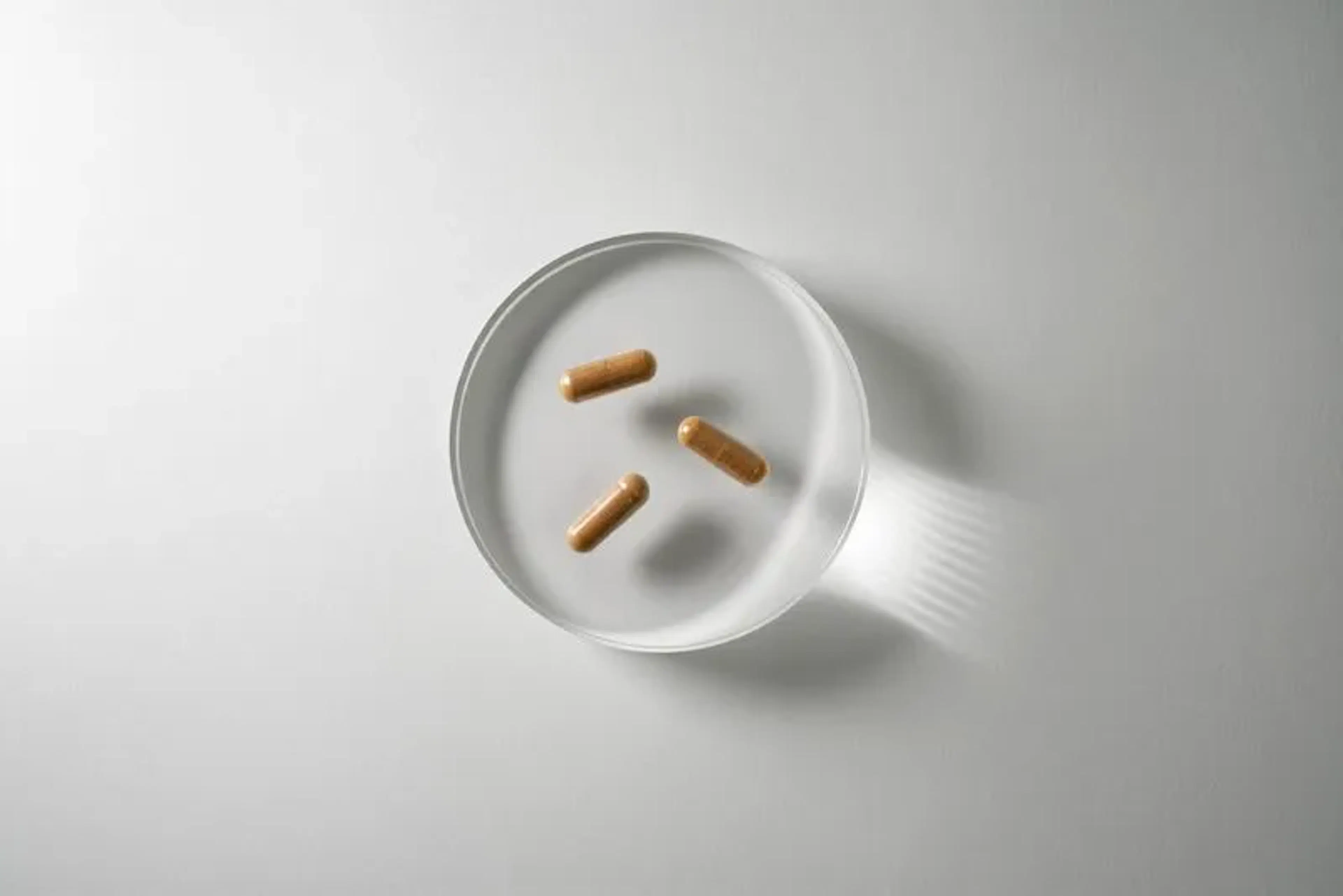 blog_Glycémie : comprendre l'équilibre du sucre dans l'organisme