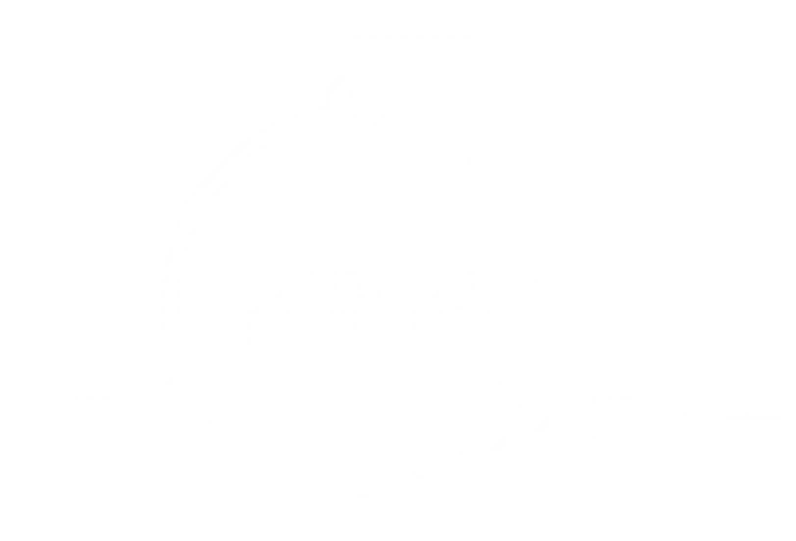 schéma_section_fs-glutamine_fs-3b