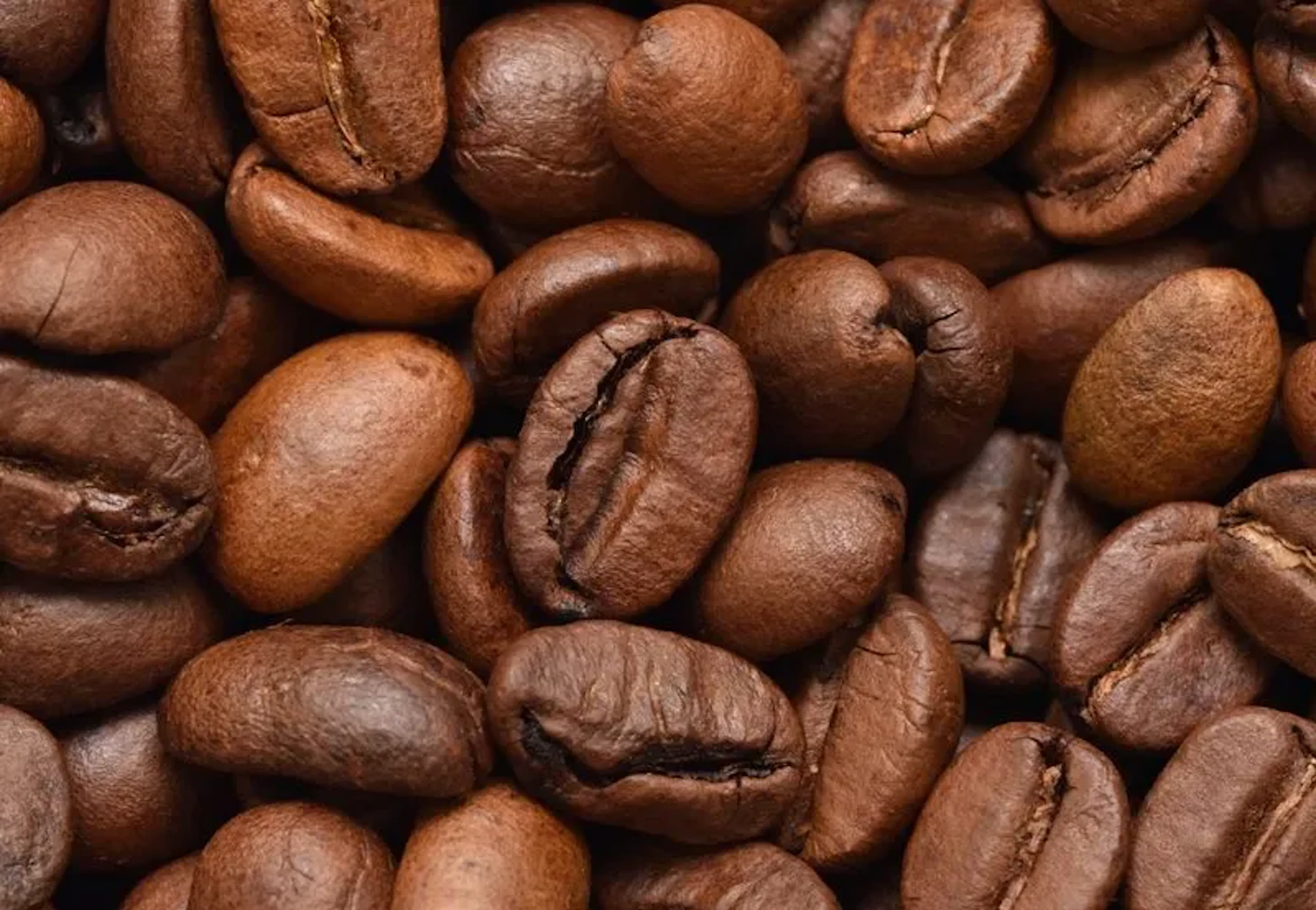 blog_Caféine : quels sont ses effets sur l'énergie et la vigilance ?