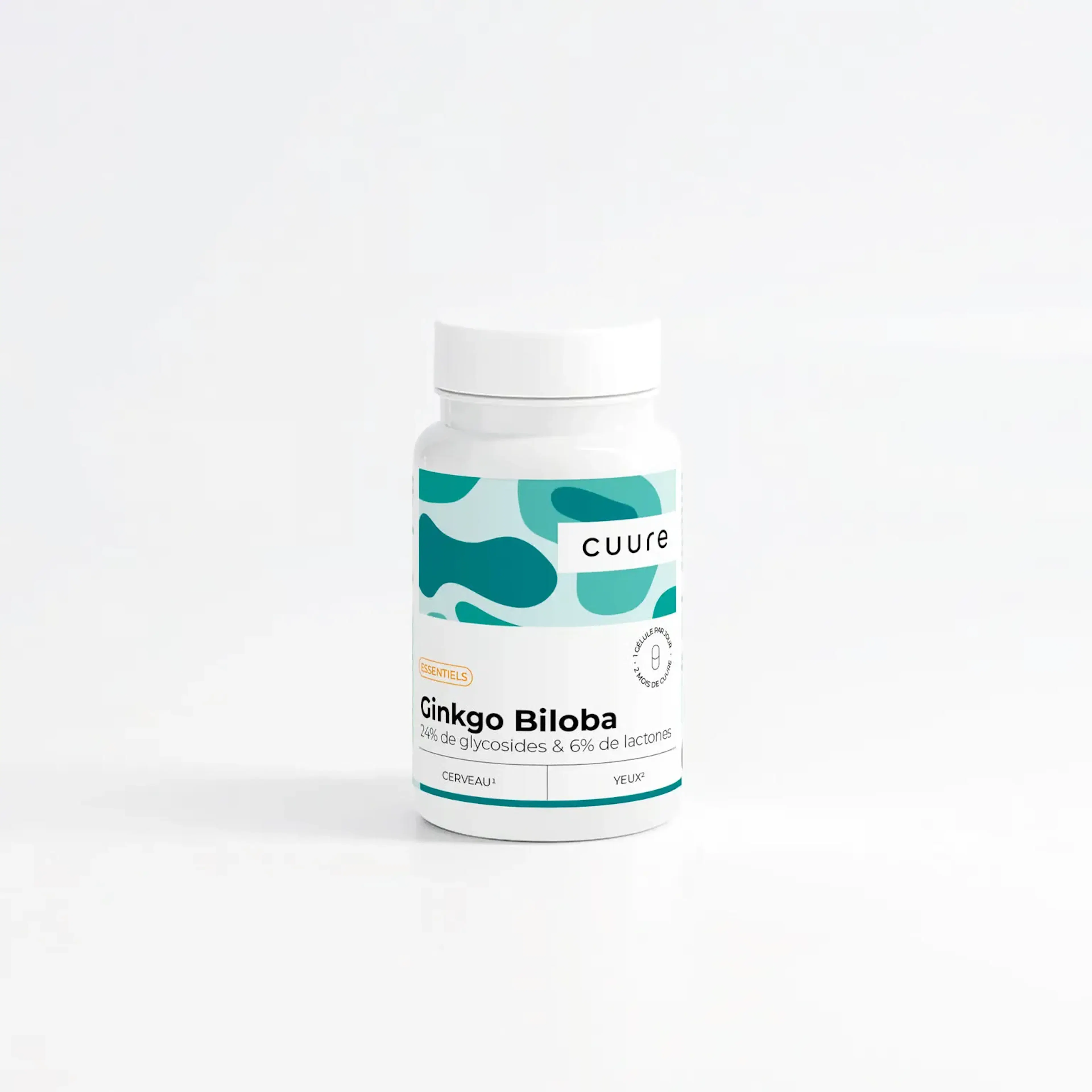 blog_Ginkgo Biloba : Soutenir la mémoire et améliorer la concentration avec un extrait végétal naturel