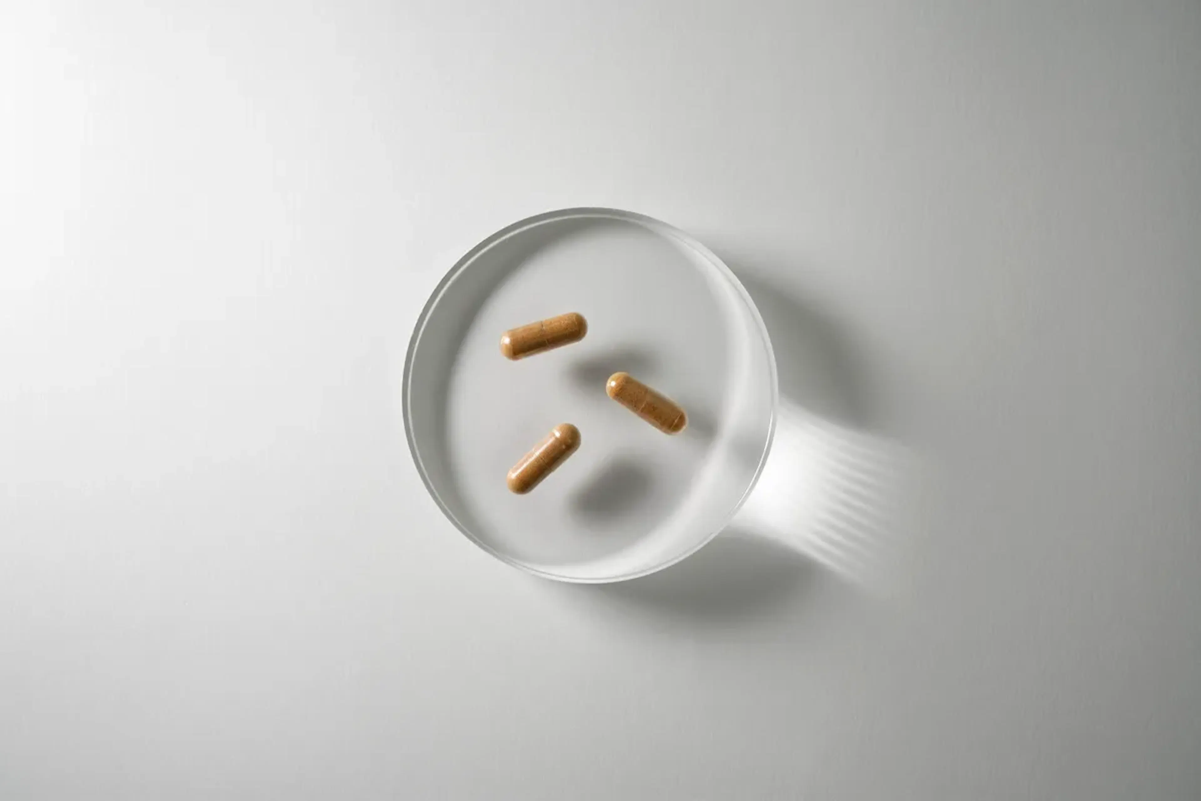 blog_Glycémie : comprendre l'équilibre du sucre dans l'organisme