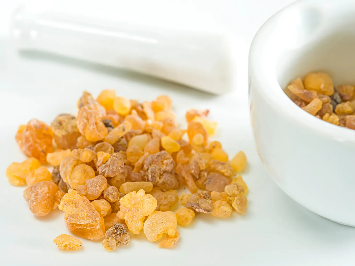 blog_Le Boswellia : et si nous en parlions ?