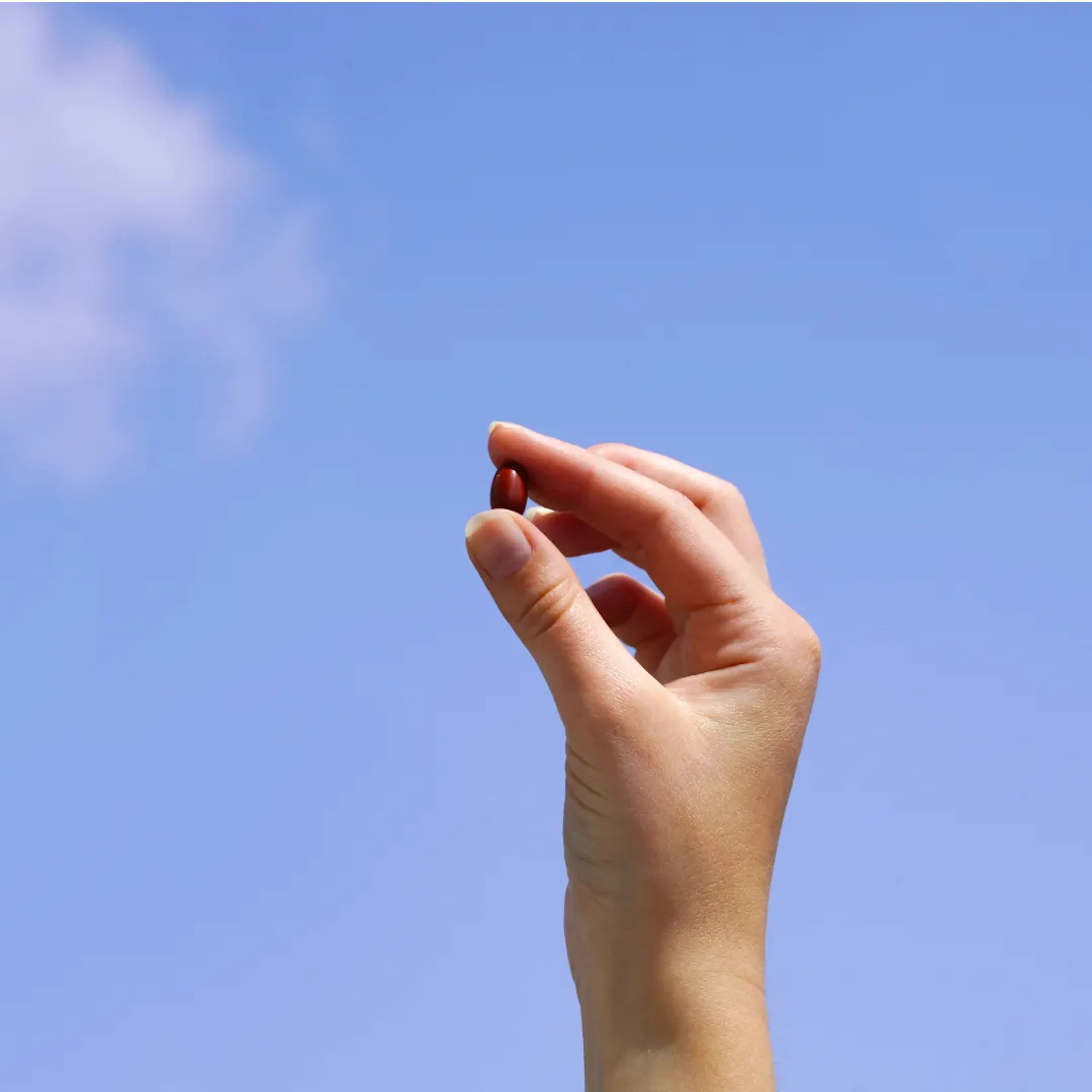 blog_Et si nous parlions Complexe Solaire ?