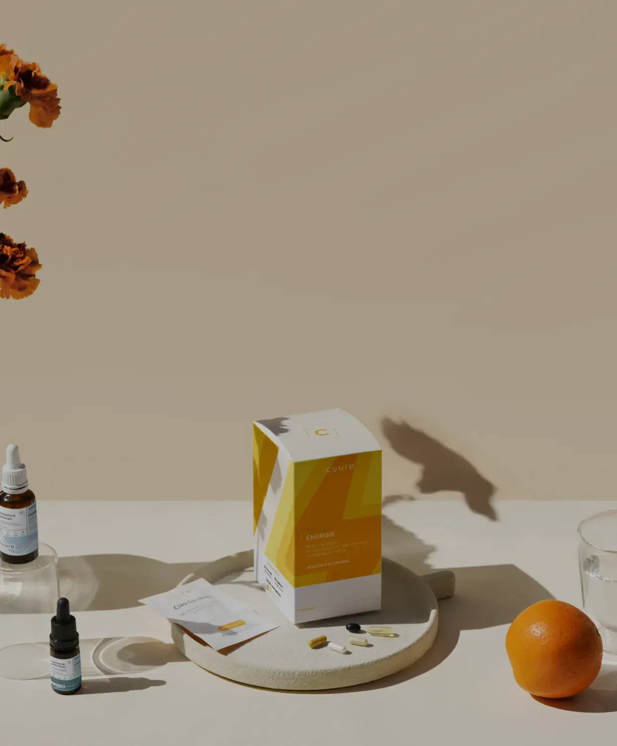 programme-ambassadeur-mobile-_2