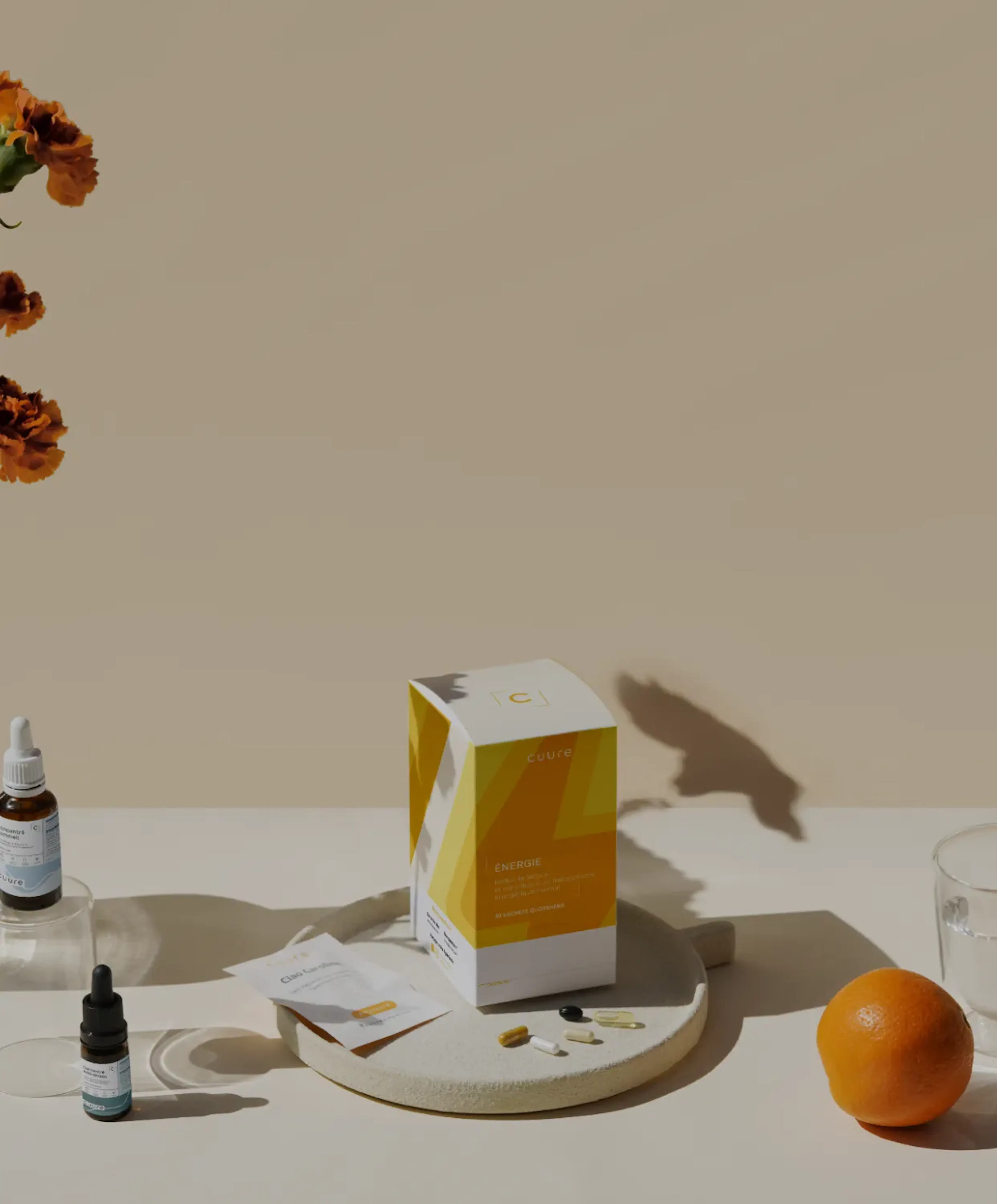 programme-ambassadeur-mobile-_2