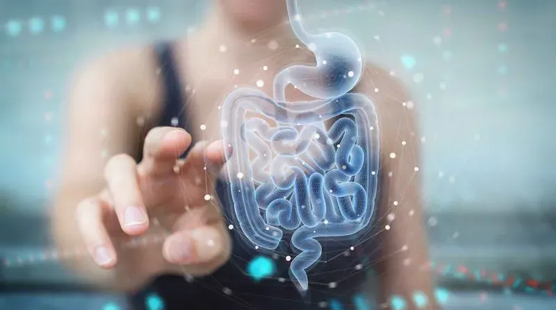 blog_La barrière intestinale : ce qu'elle est et comment le microbiote la protège