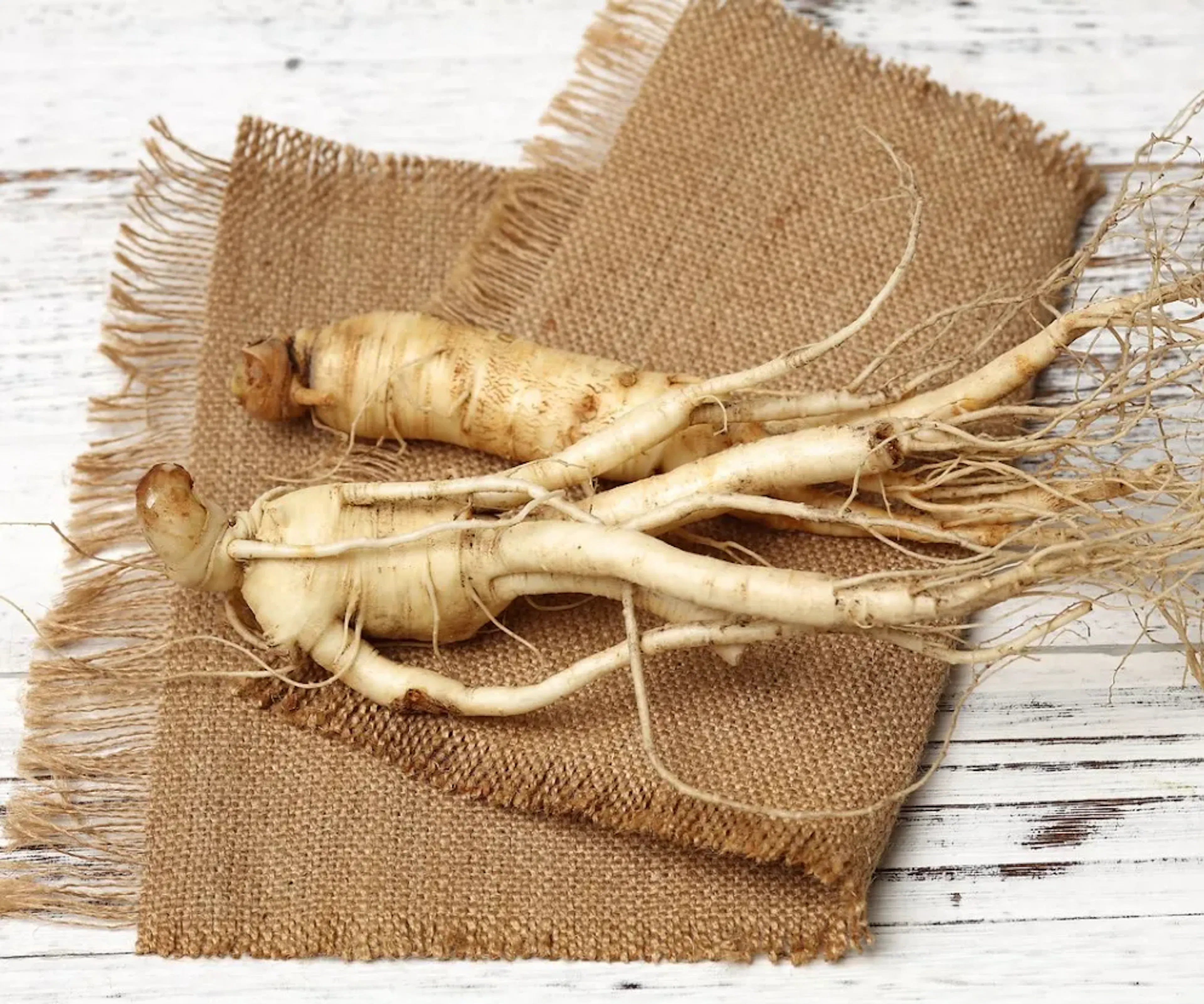 blog_Le Ginseng : et si nous en parlions ?