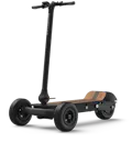 3 Wheel Rover Cycleboard Rover | All-terrain 3 wheeled Electric Vehicle