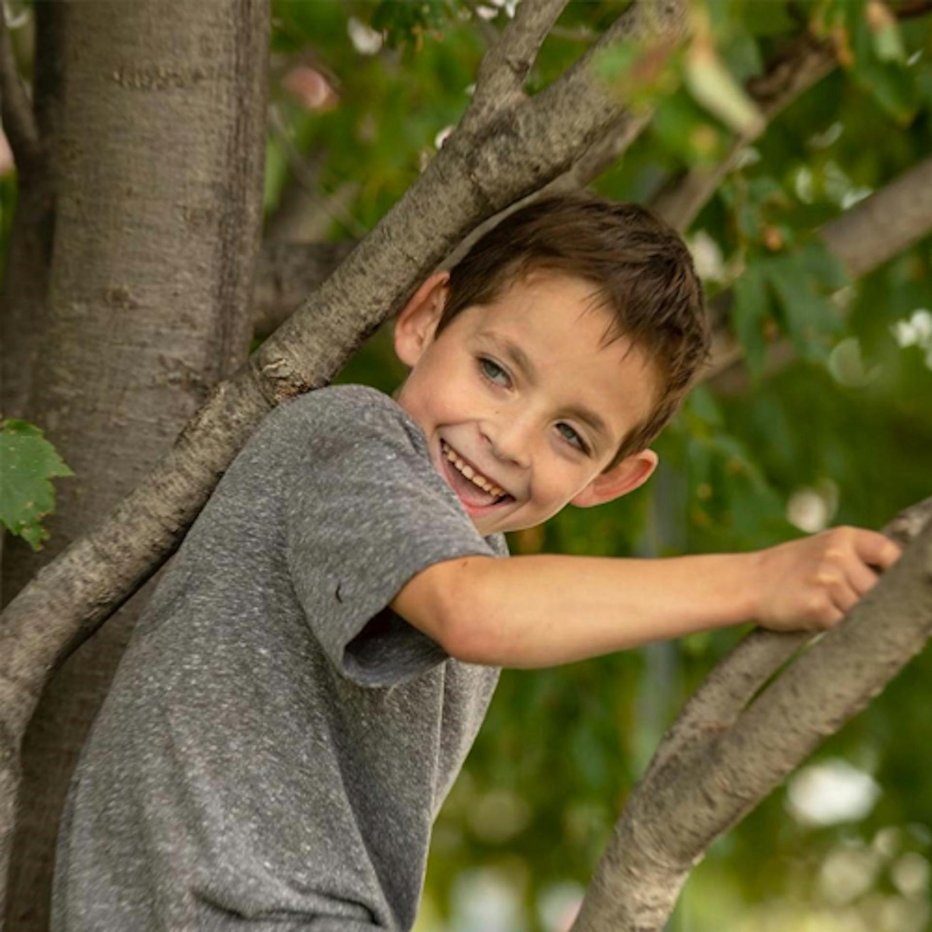 Young Loïc climbing a tree. 