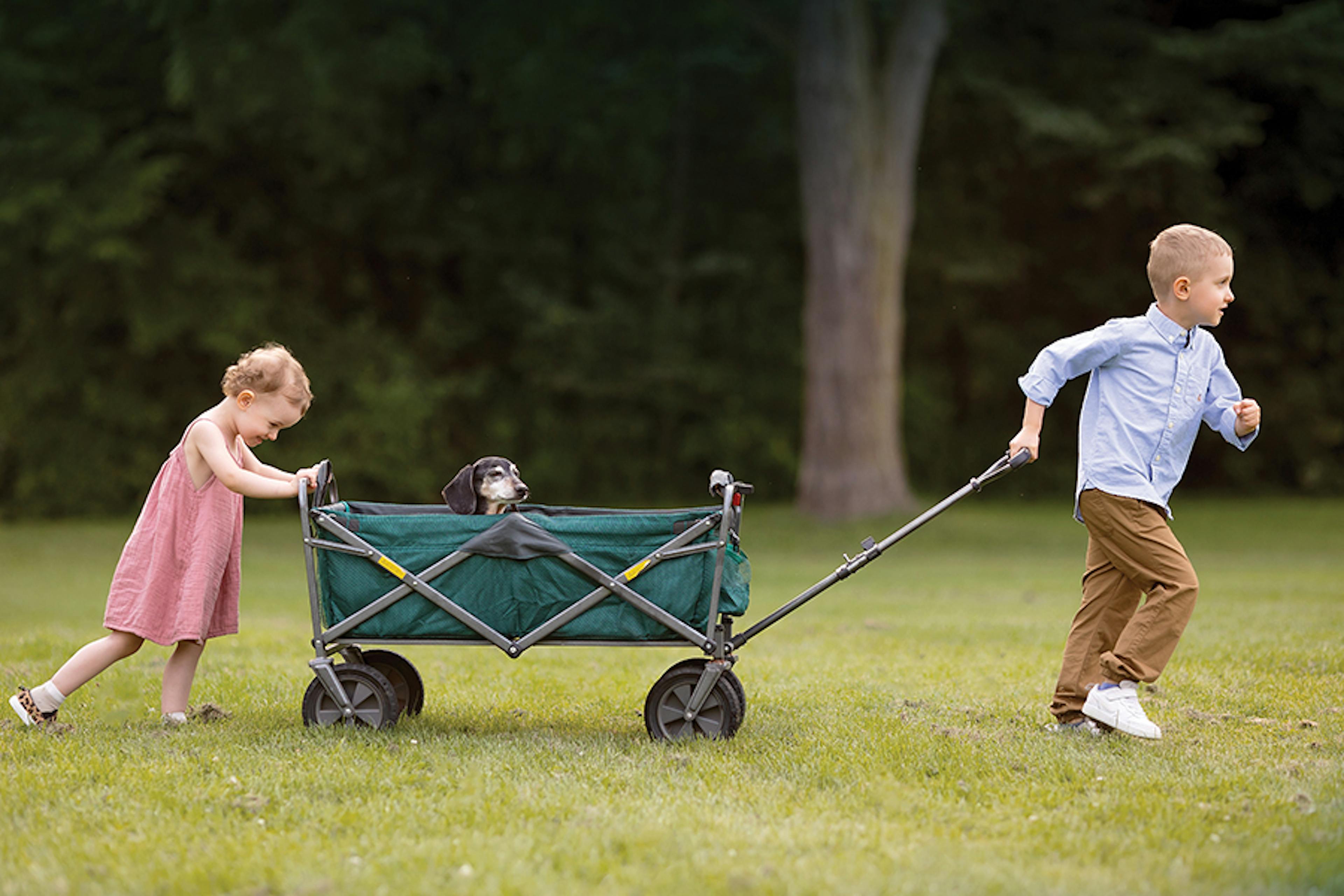 A young boy with CF with his sister and a dog in a wagon