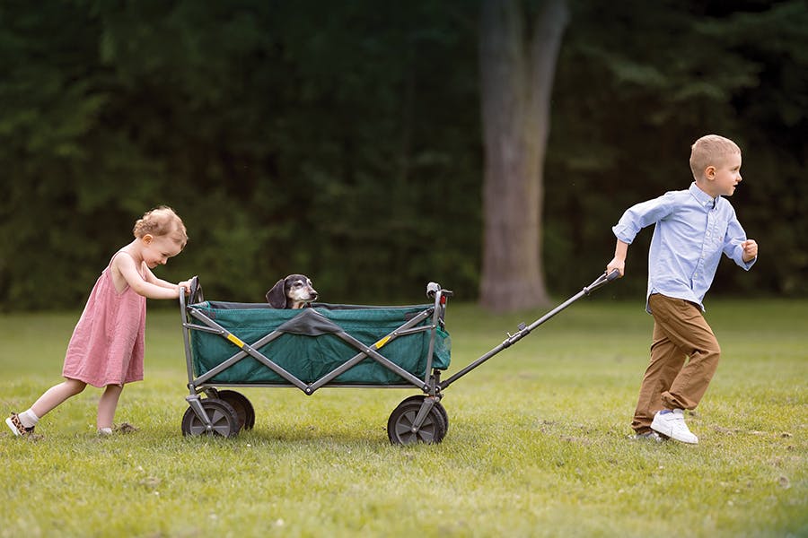 Un jeune garçon atteint de FK avec sa sœur et un chien dans un chariot
