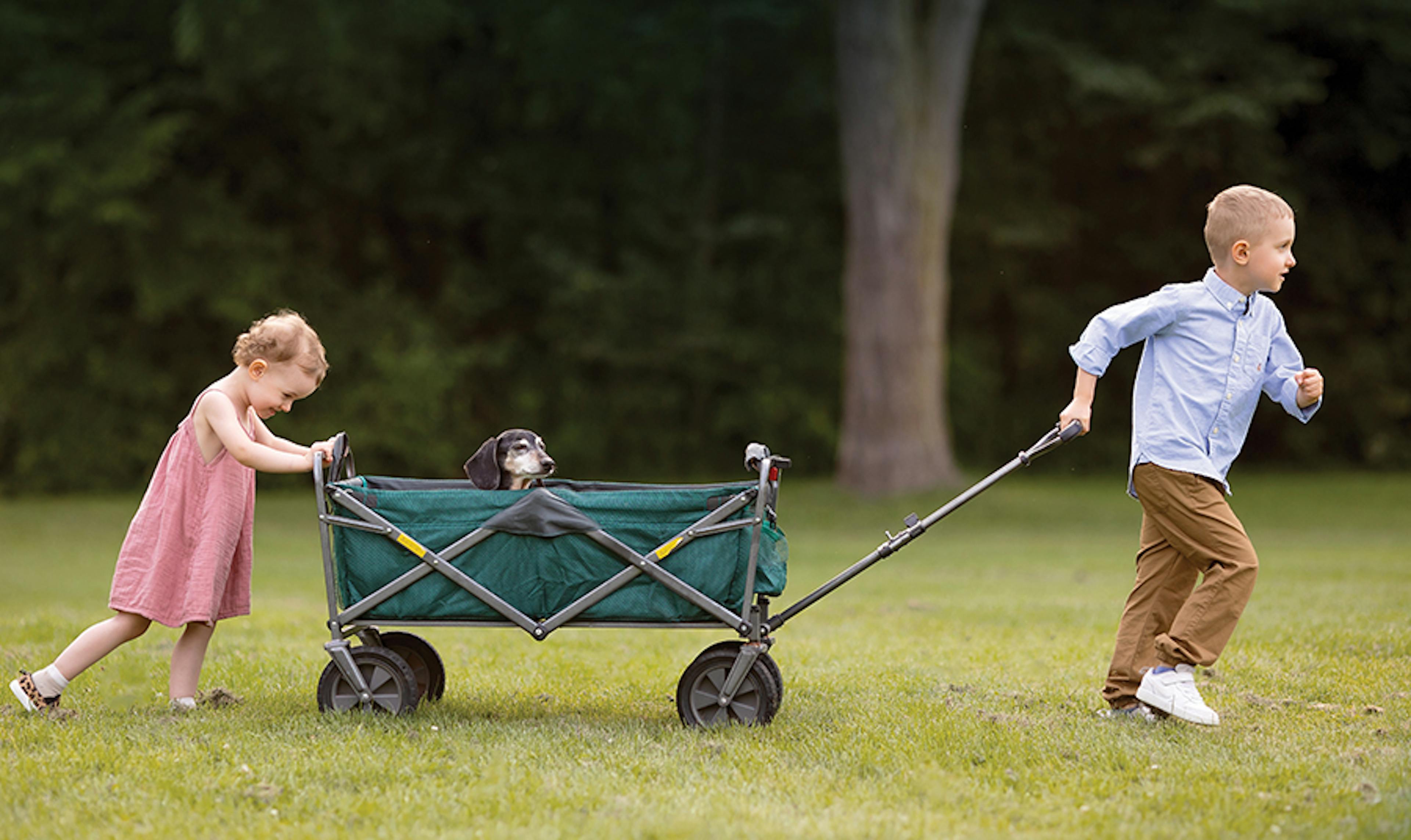 A young boy with CF with his sister and a dog in a wagon