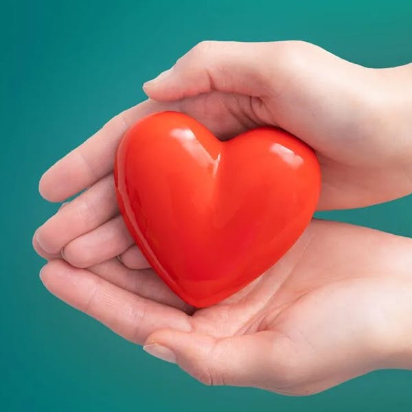 Two hands holding a plastic red heart