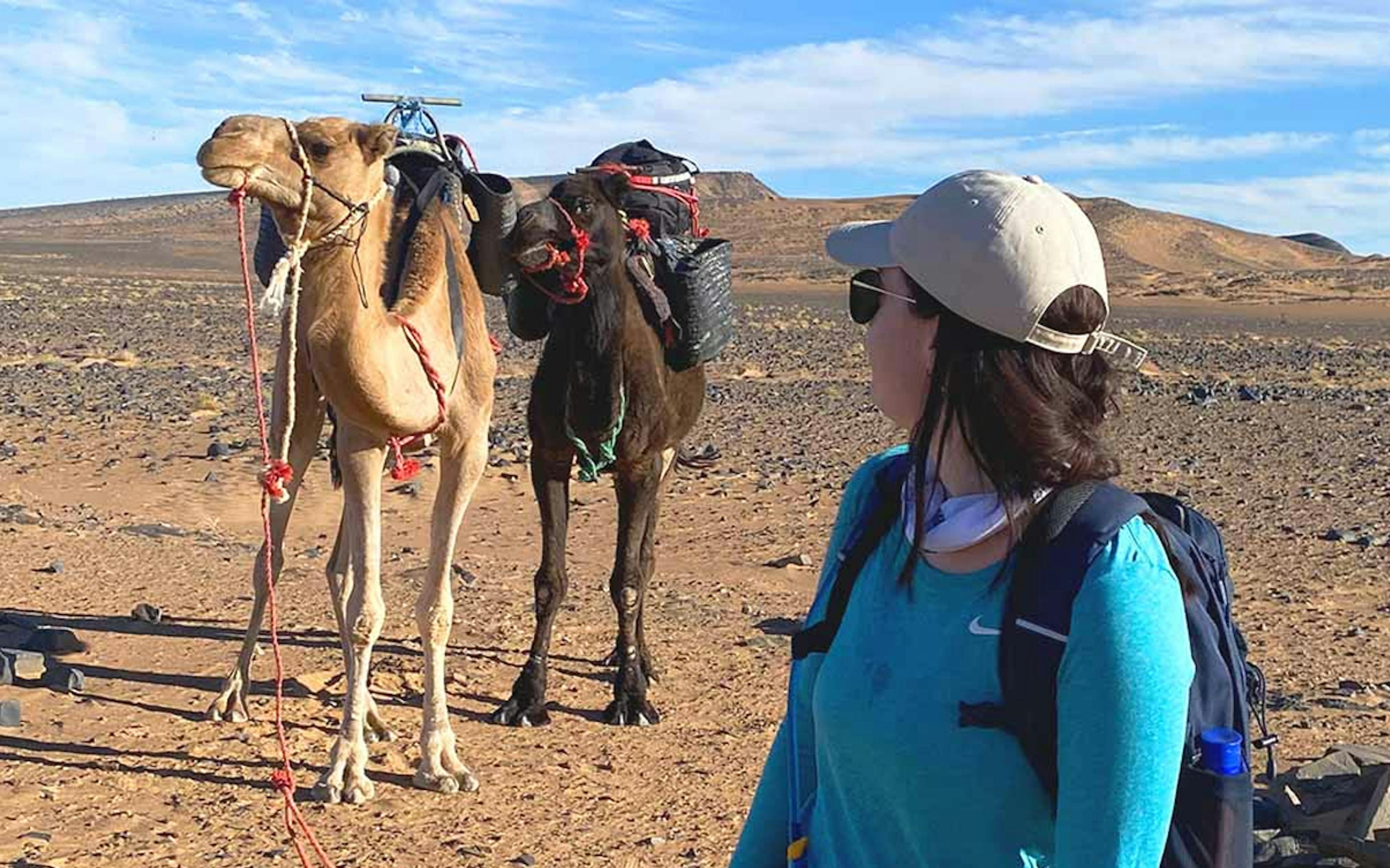 Lex looking back at a camel in the desert