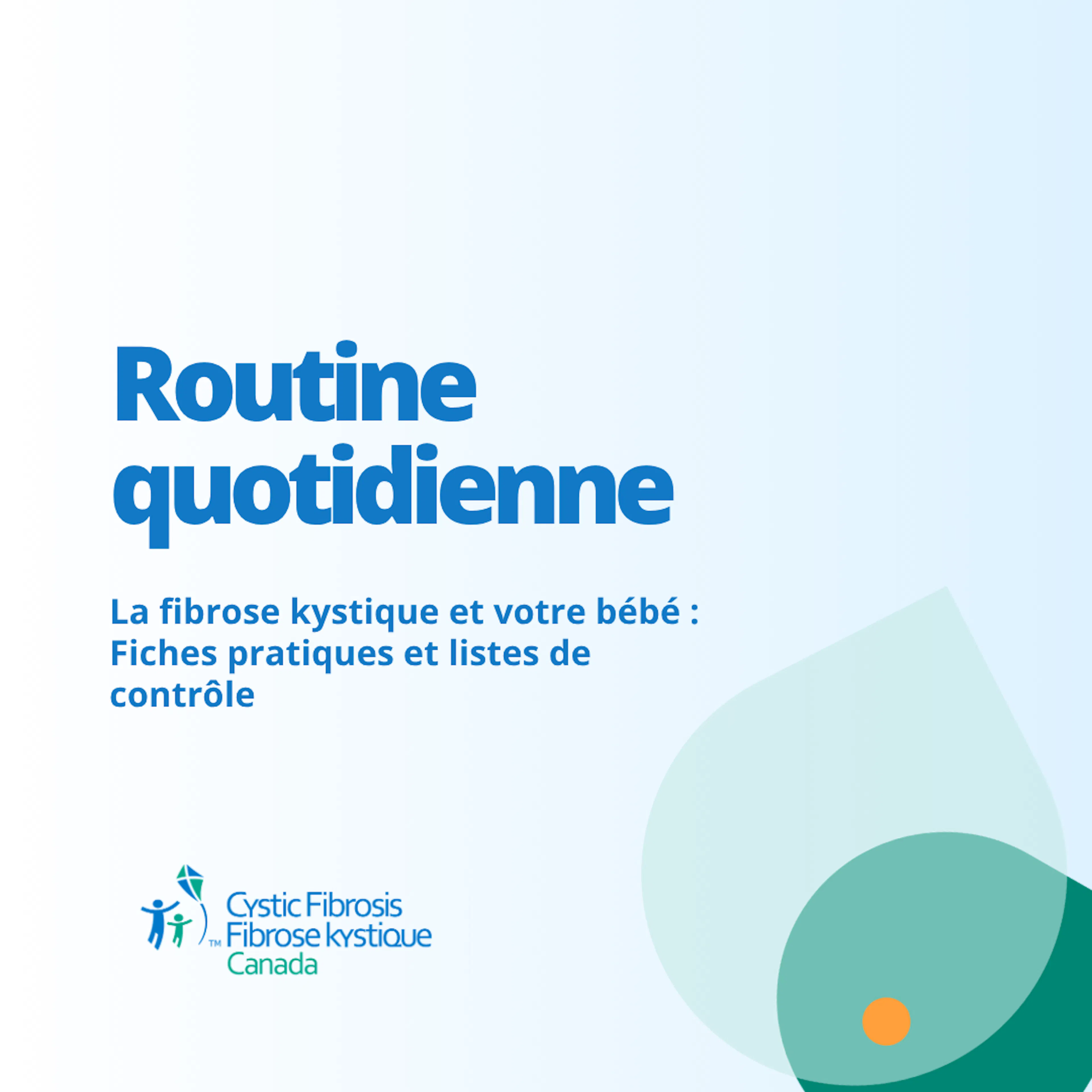 Routine quotidienne