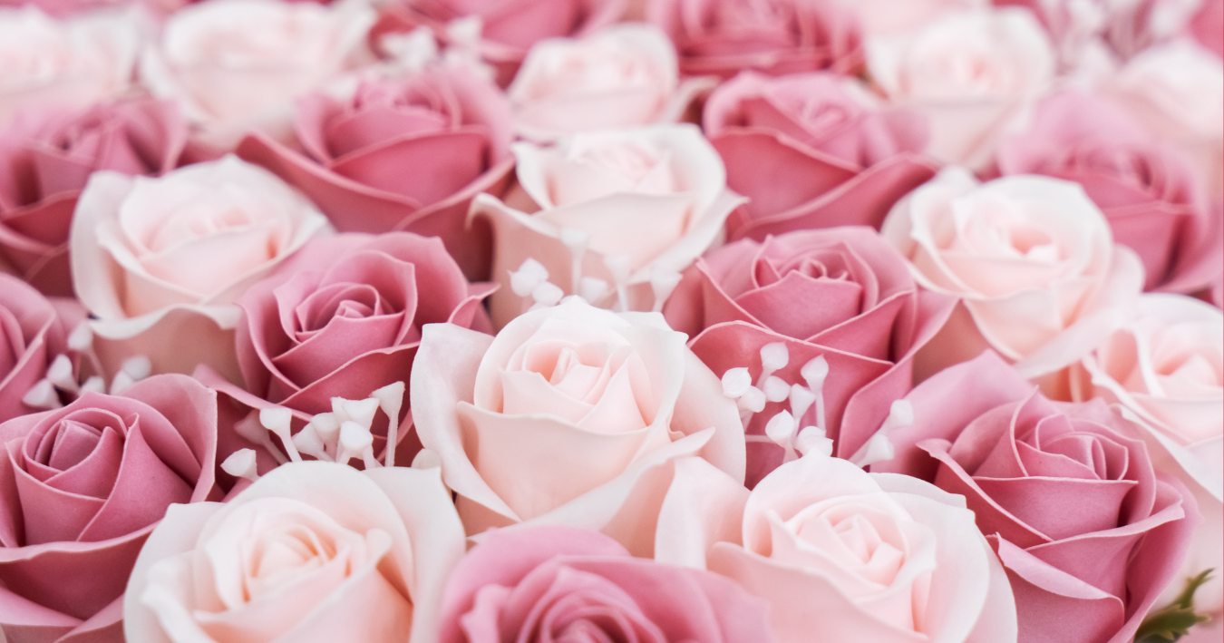 1st Annual 65 Roses Gala Dinner and Dance