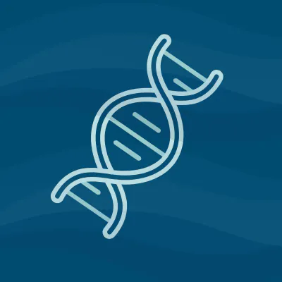 DNA double helix