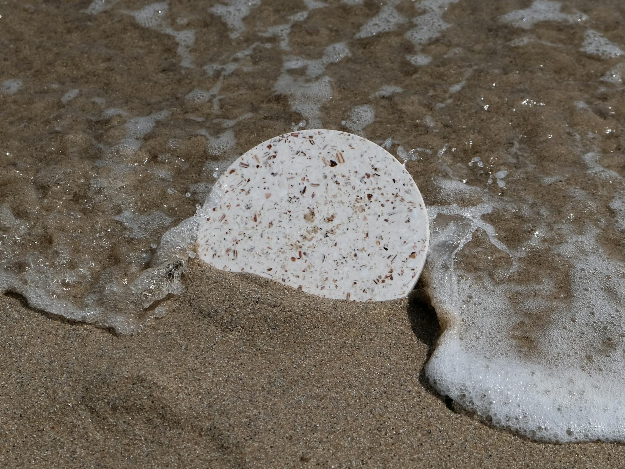 Plateau en coquillage revalorisé utilisé pour le mobilier DACOTA ET BELHARRA DESIGN