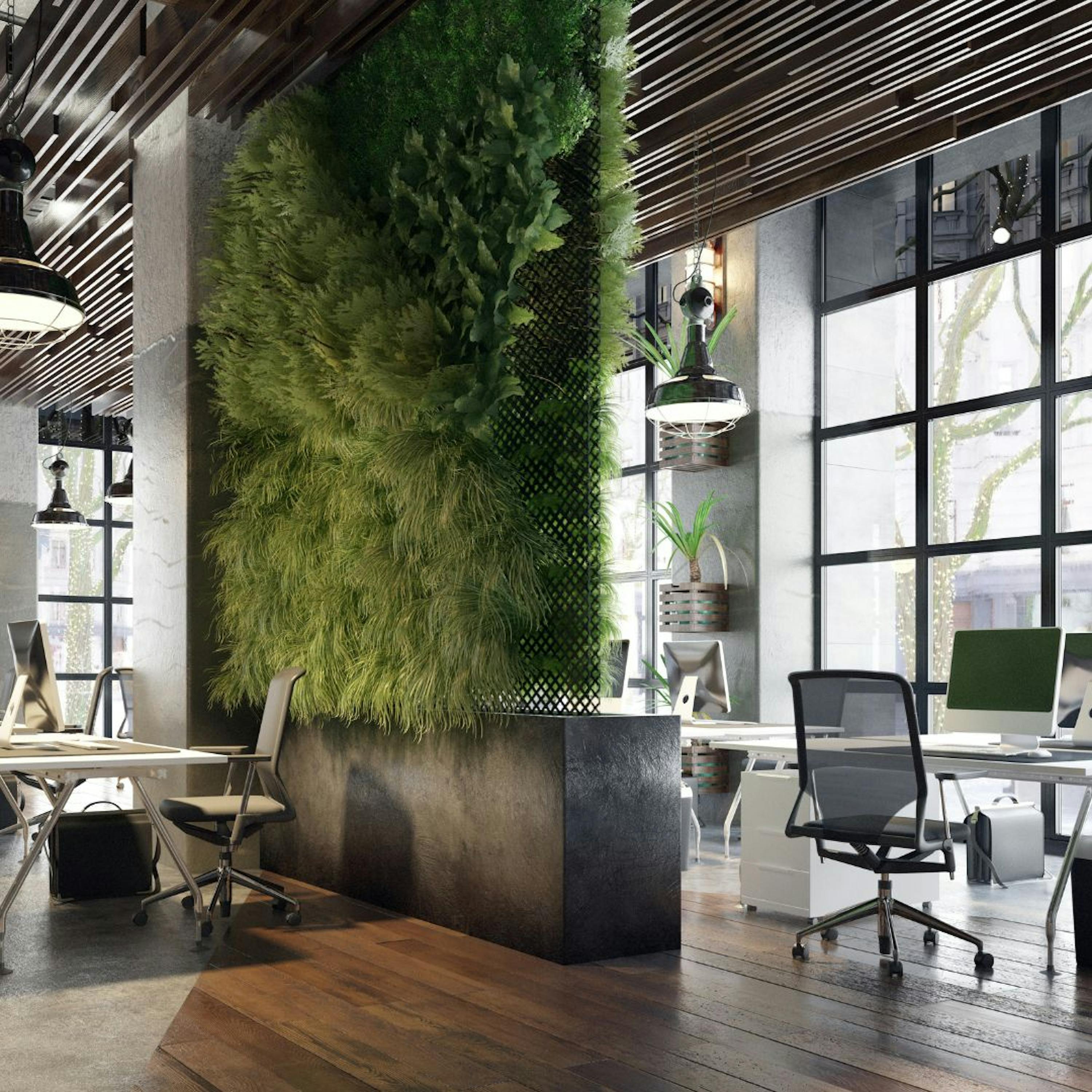 Un espace de travail végétalisé avec des bureaux, des chaises et des plantes