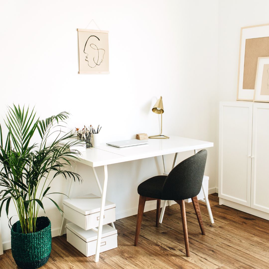 Un salon avec un bureau, une chaise et une plante