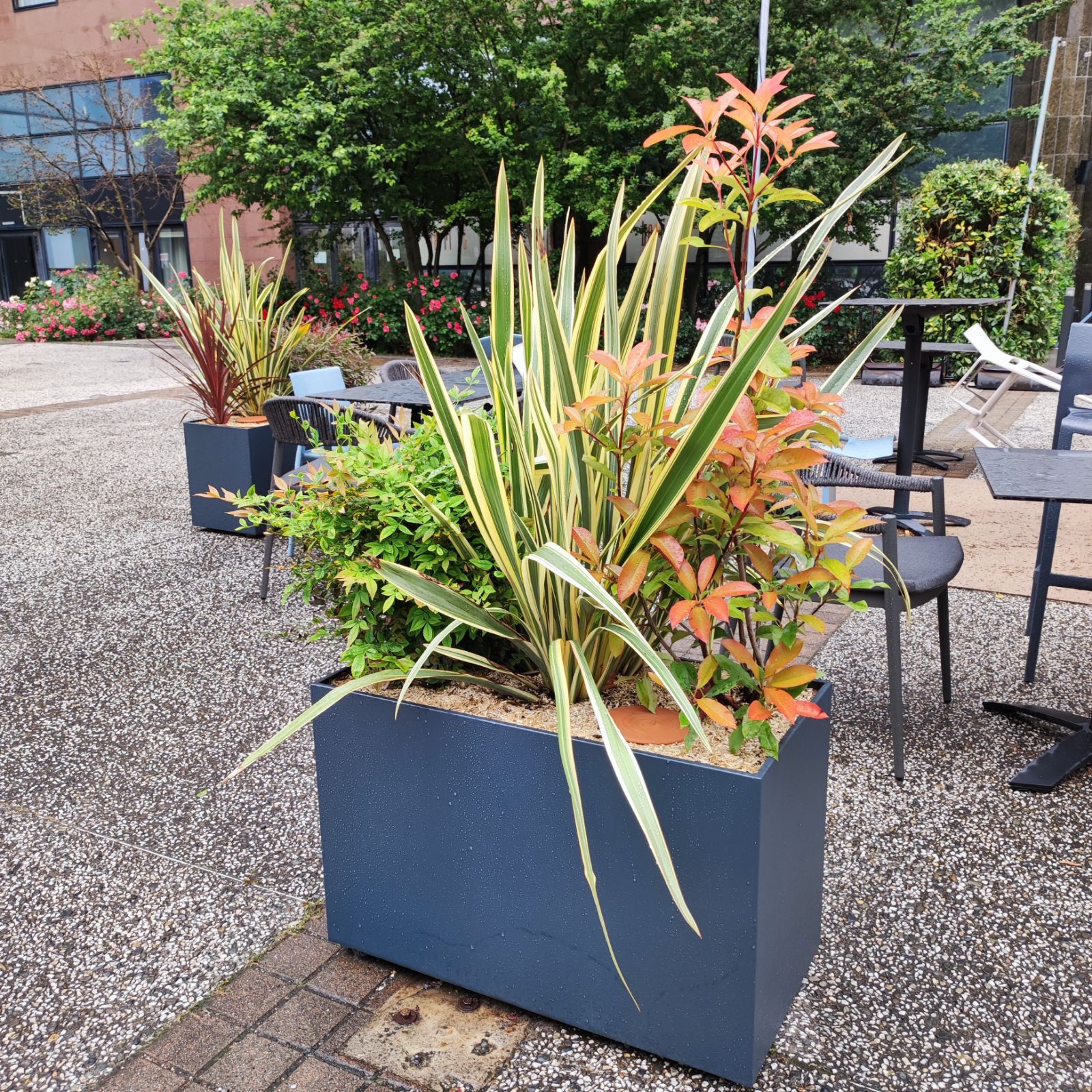 Bac à fleur sur mesure fabriqué en france dans notre atelier DACOTA à destination des paysagistes des bureaux tertiaires et cafés hôtels restaurants