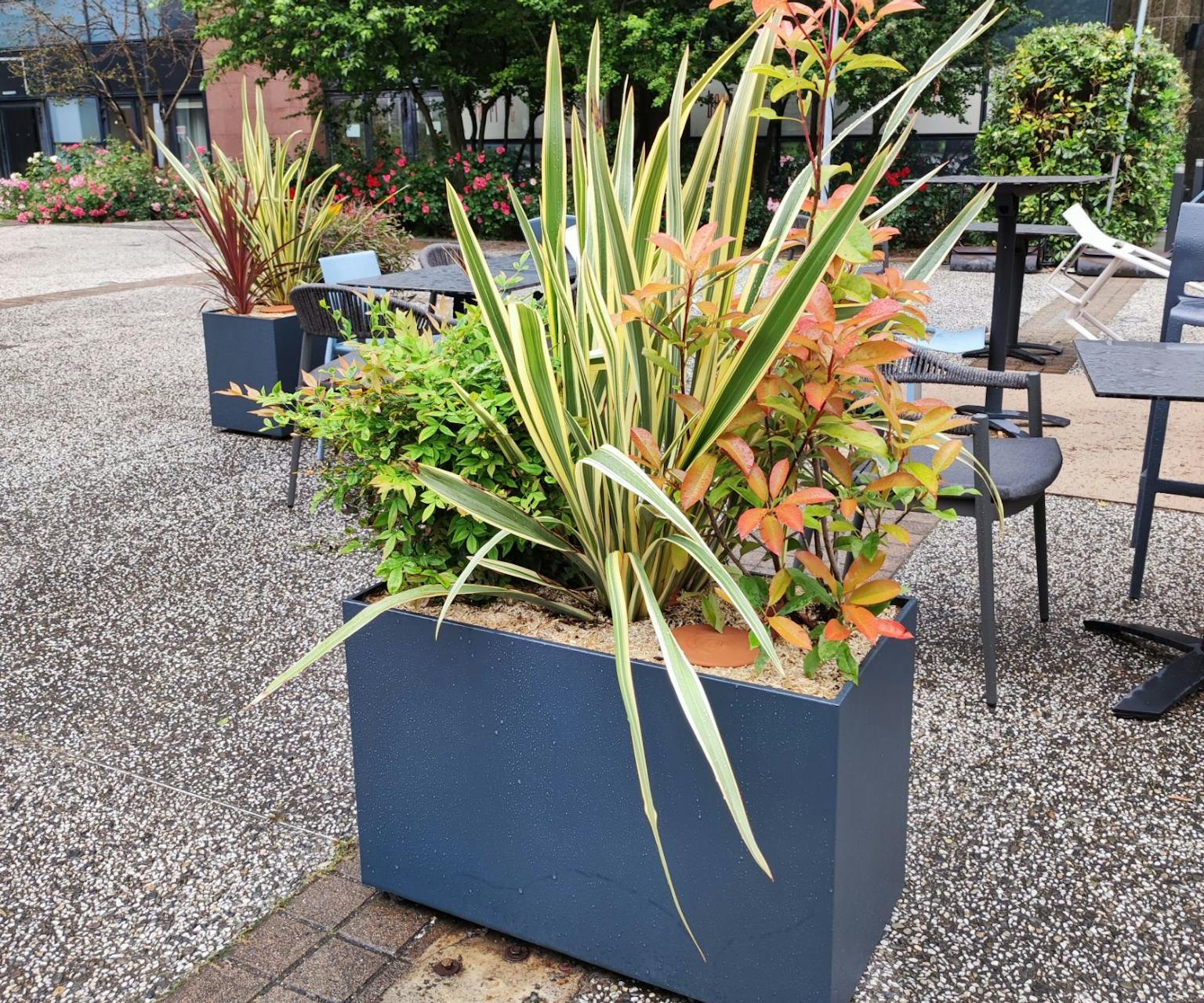 Bac à fleur sur mesure fabriqué en france dans notre atelier DACOTA à destination des paysagistes des bureaux tertiaires et cafés hôtels restaurants