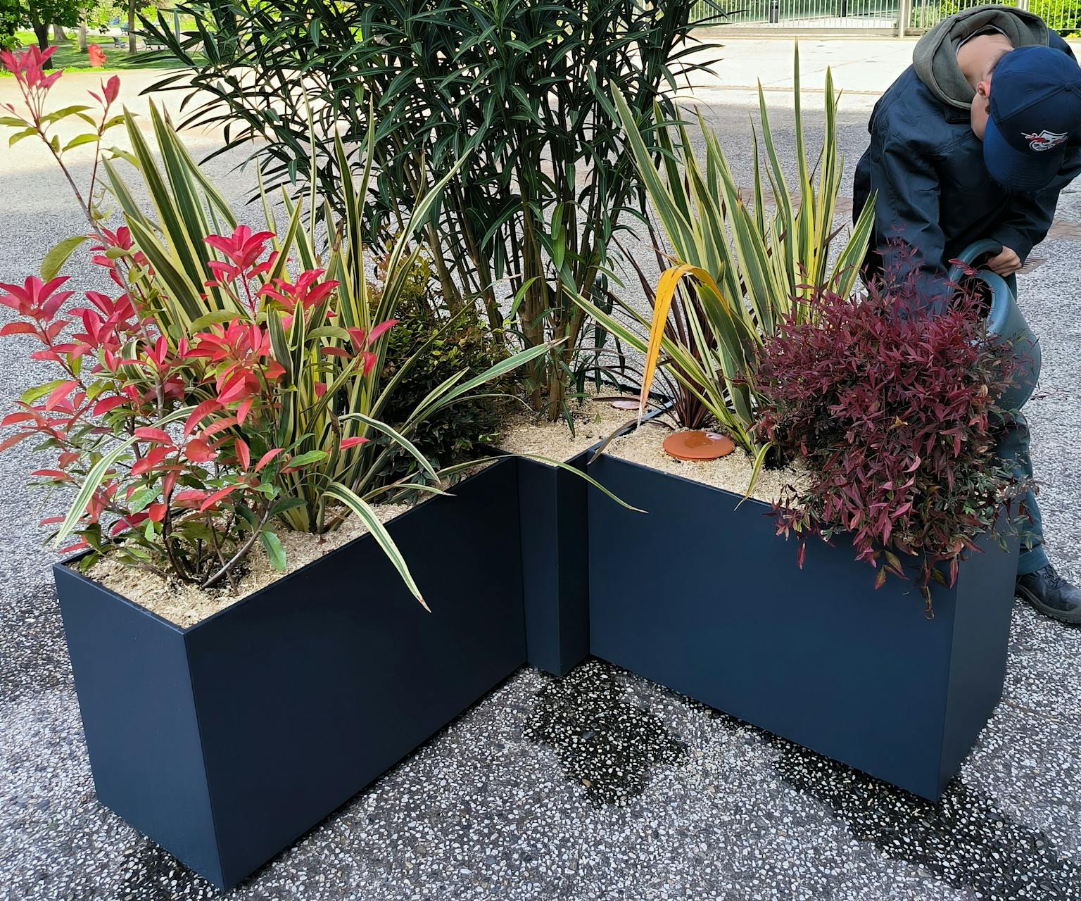 Bac à fleur sur mesure fabriqué en france dans notre atelier DACOTA à destination des paysagistes des bureaux tertiaires et cafés hôtels restaurants