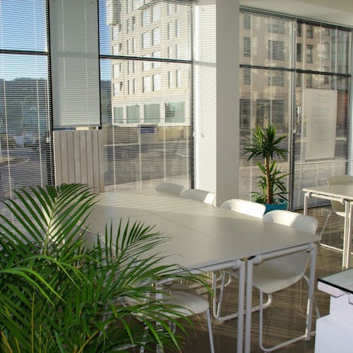 Espace ouvert avec une table, des chaises blanches et des plantes