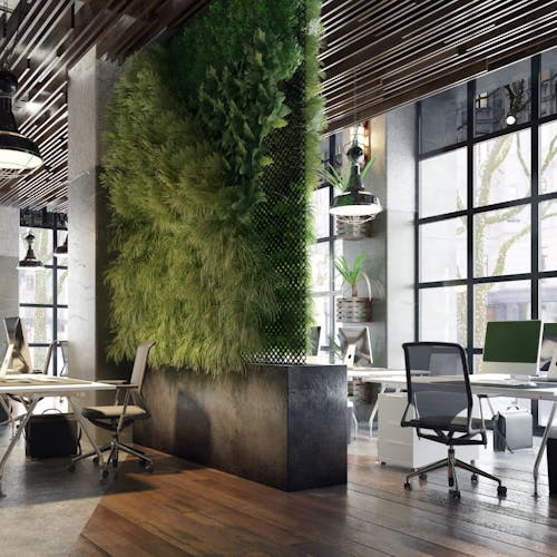 Un espace de travail végétalisé avec des bureaux, des chaises et des plantes